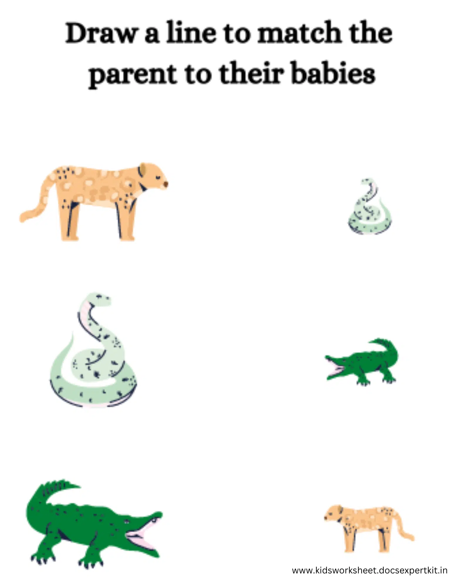 5.png.webp