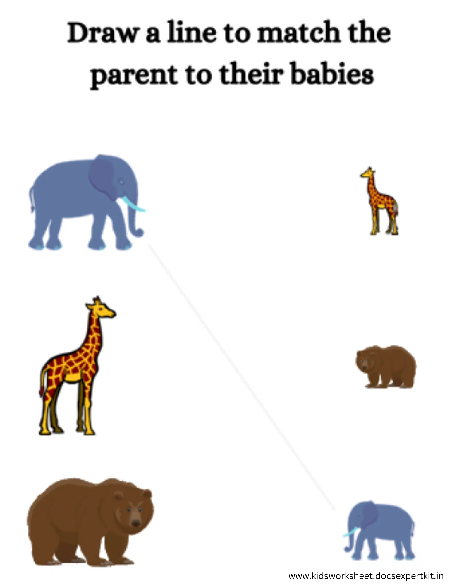 6.png.webp